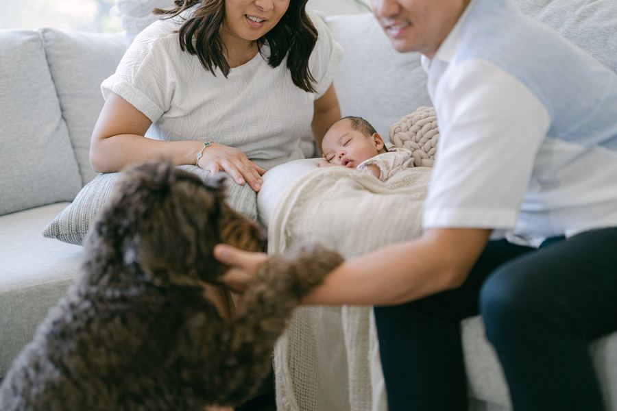 Family photo session by Katrina from Films and Stills